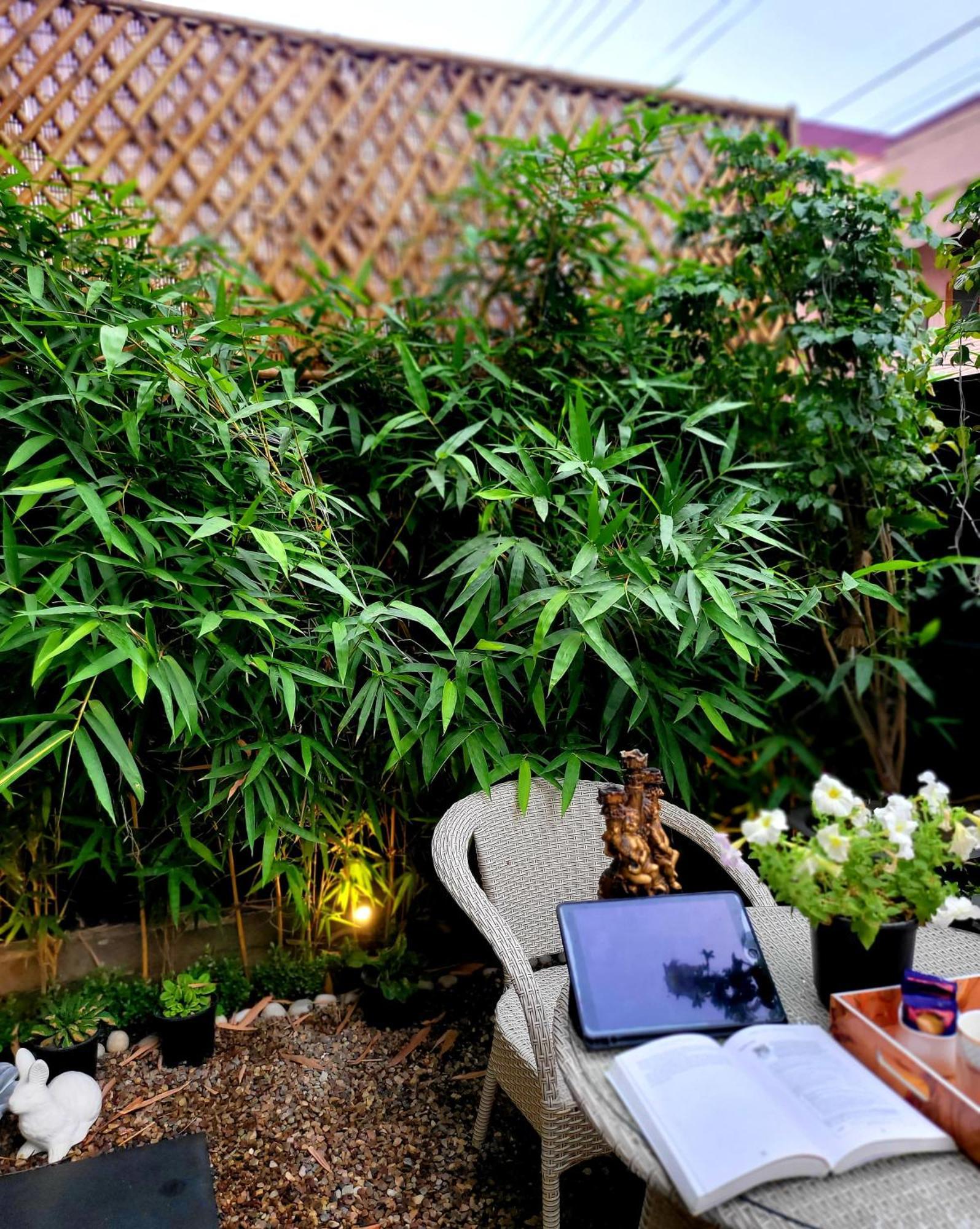 Victorian Elegance Luxury Stays Amritsar Exterior foto